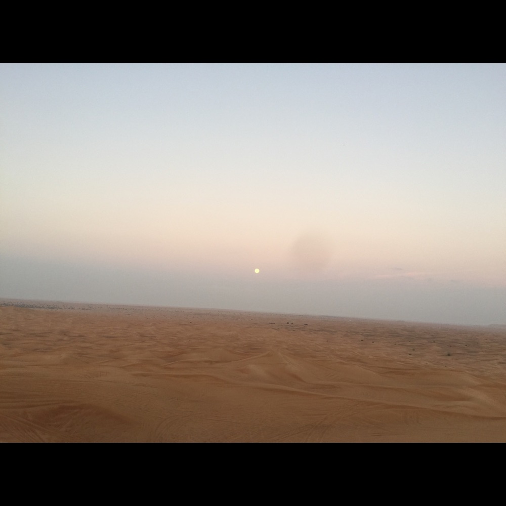 Meet your Posher, Ikran